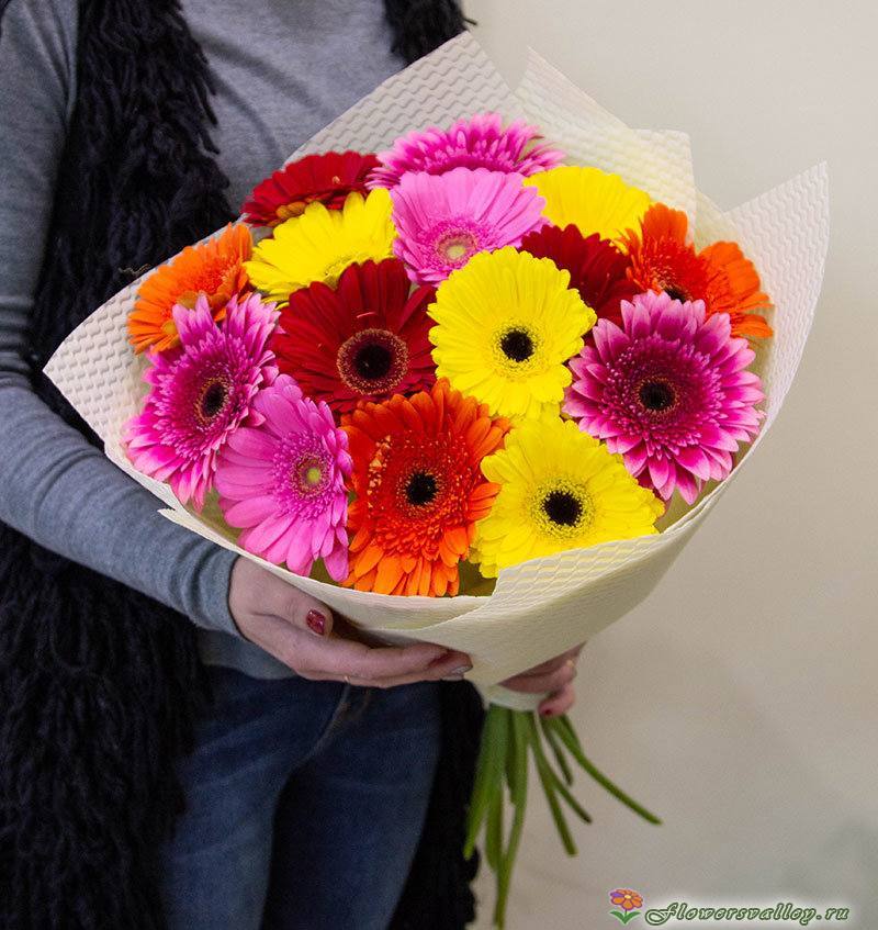 Букет из 15 разноцветных гербер