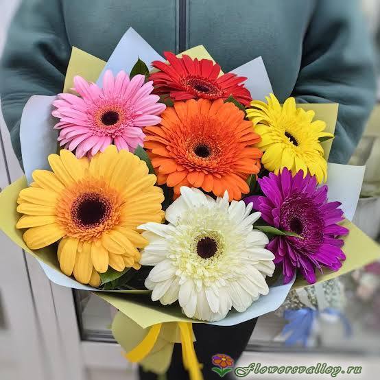 Букет из 7 разноцветных гербер
