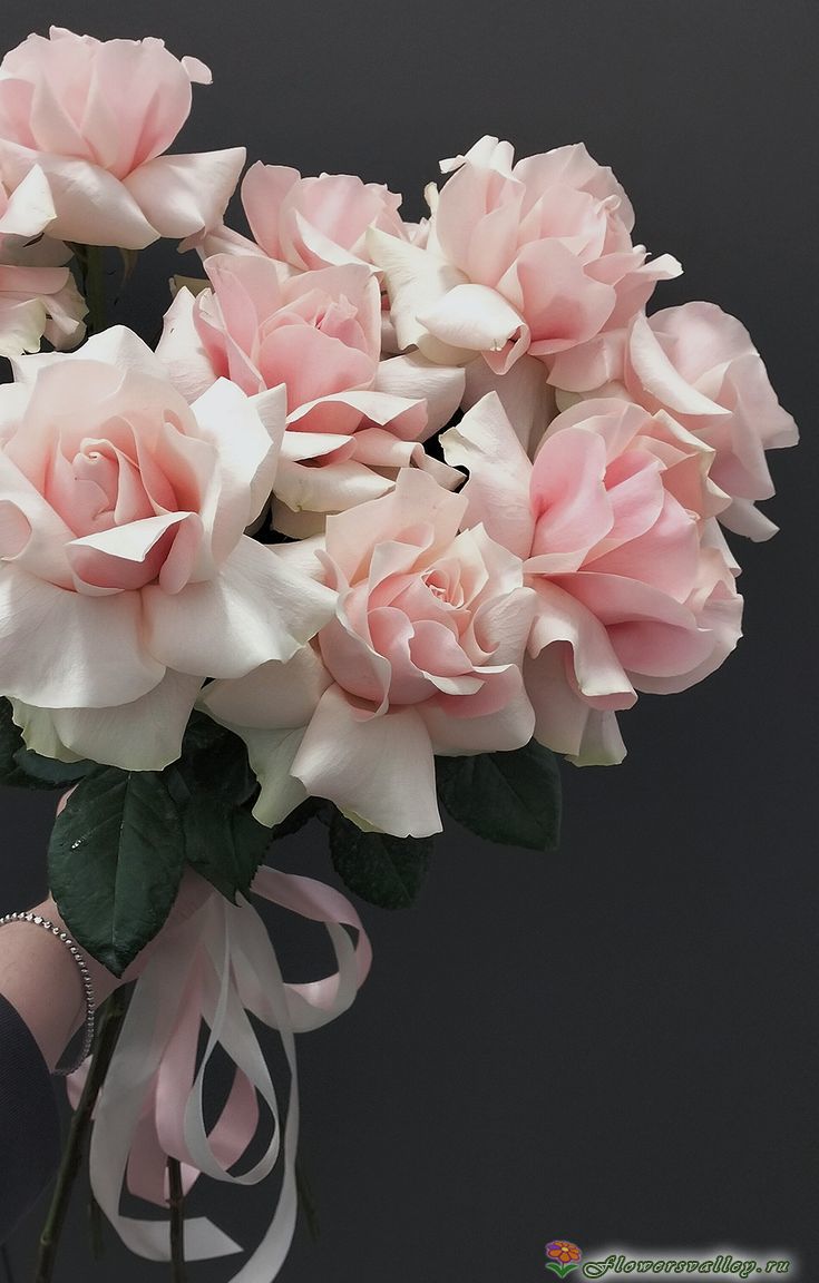 Французские розы