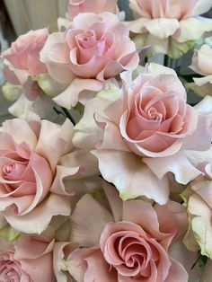 Французские розы