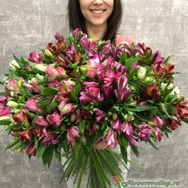 35 альстромерии