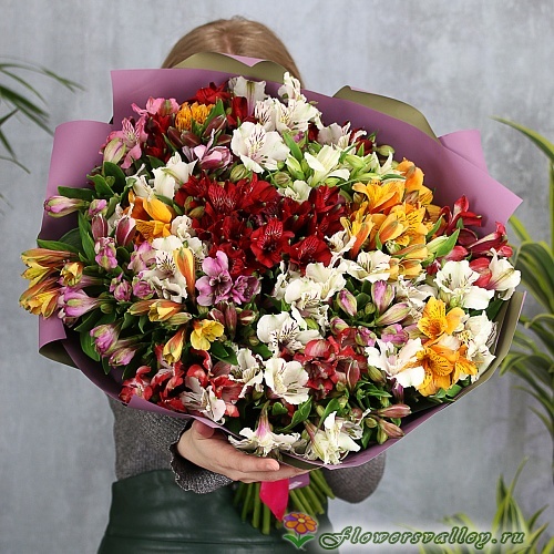 35 альстромерии