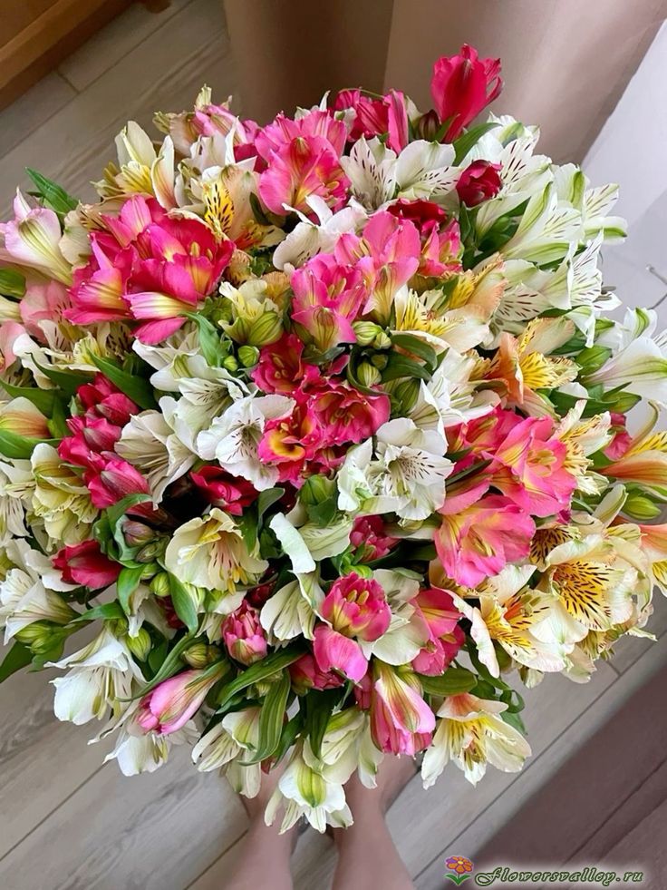 51 альстромерия 