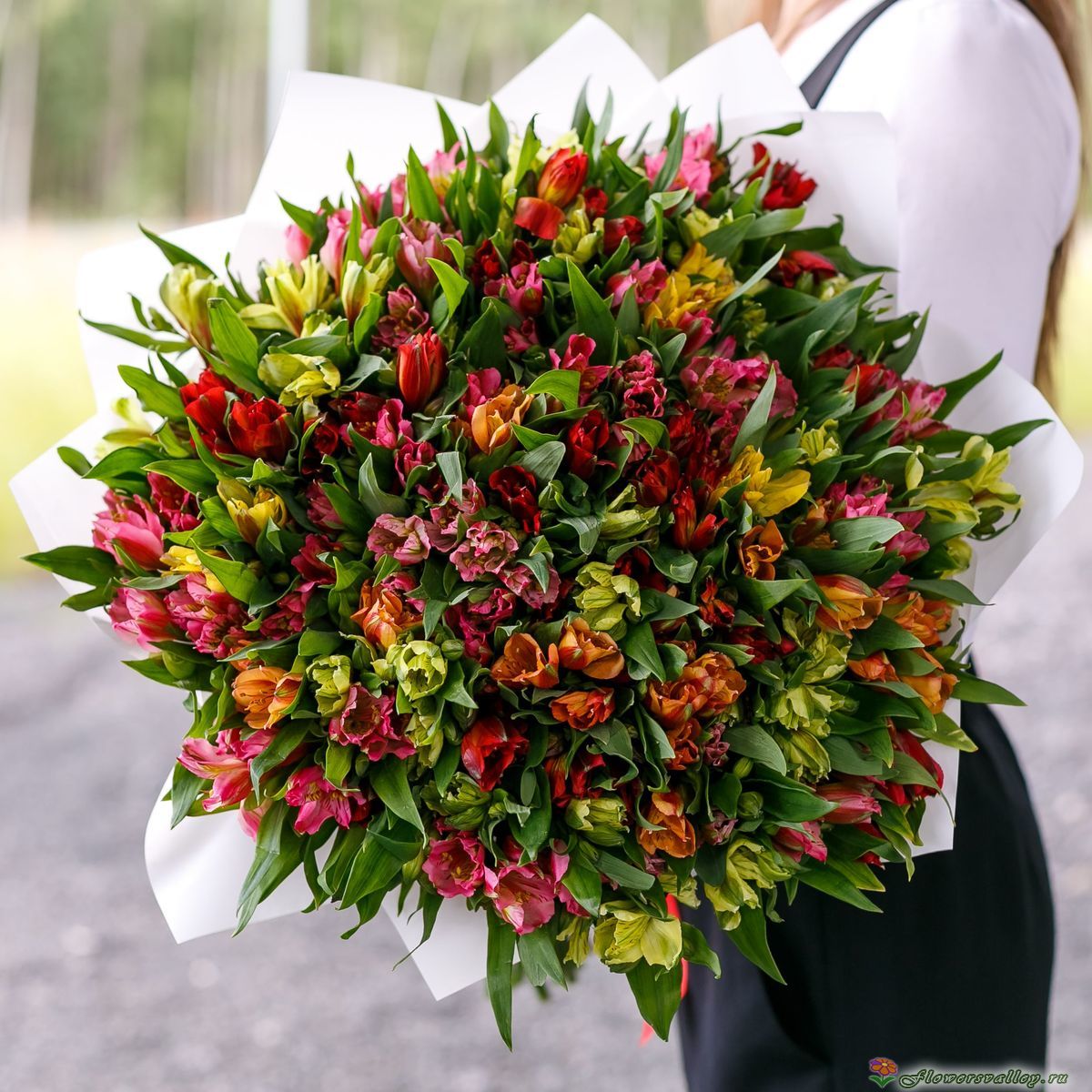 51 альстромерия 