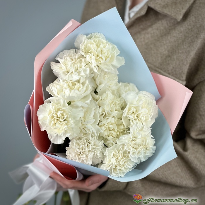 Букет из 15 белых гвоздик
