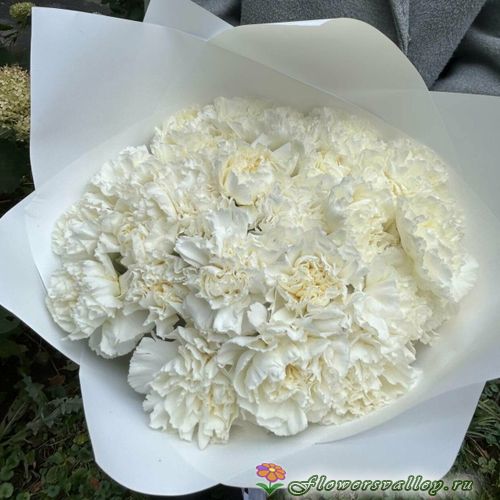 Букет из 25 белых гвоздик