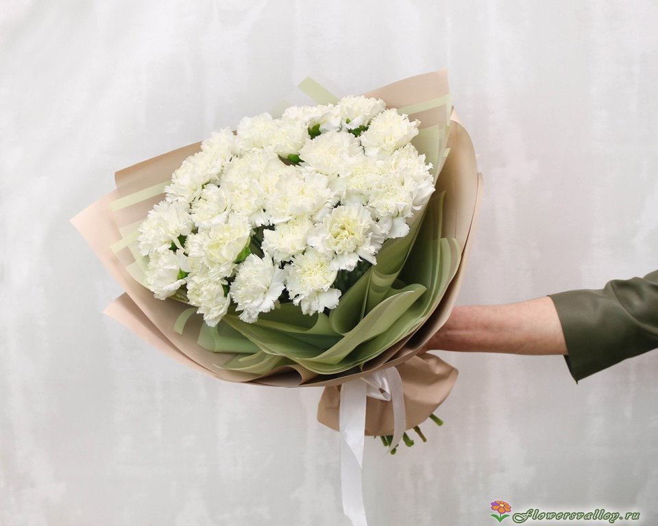 Букет из 25 белых гвоздик