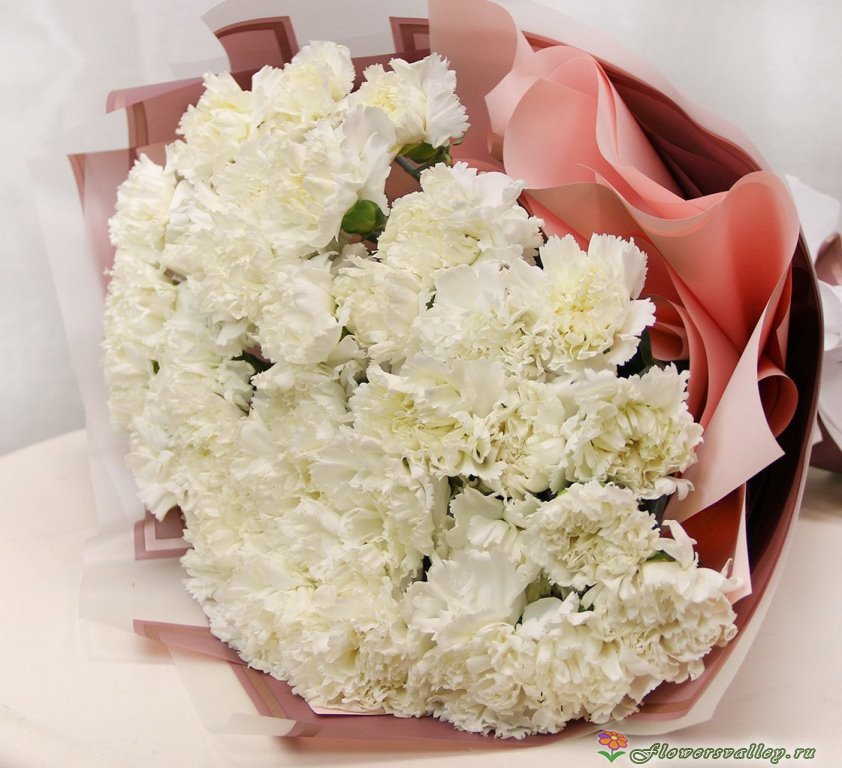 Букет из 35 белых гвоздик