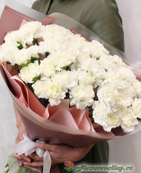 Букет из 35 белых гвоздик