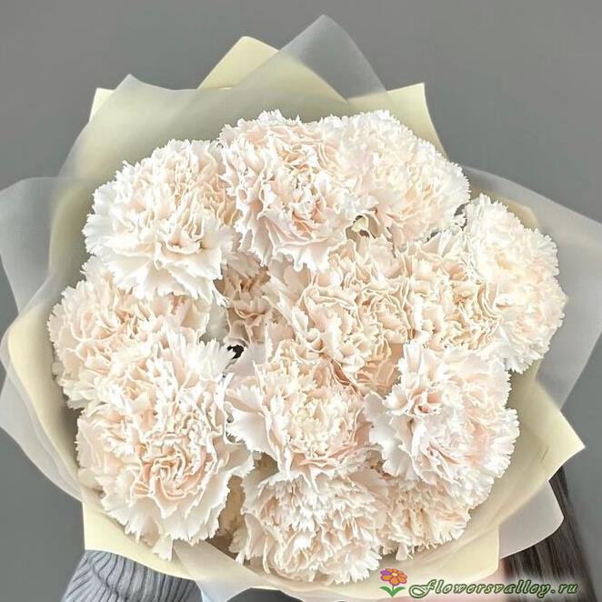 Букет из 15 бежевых гвоздик