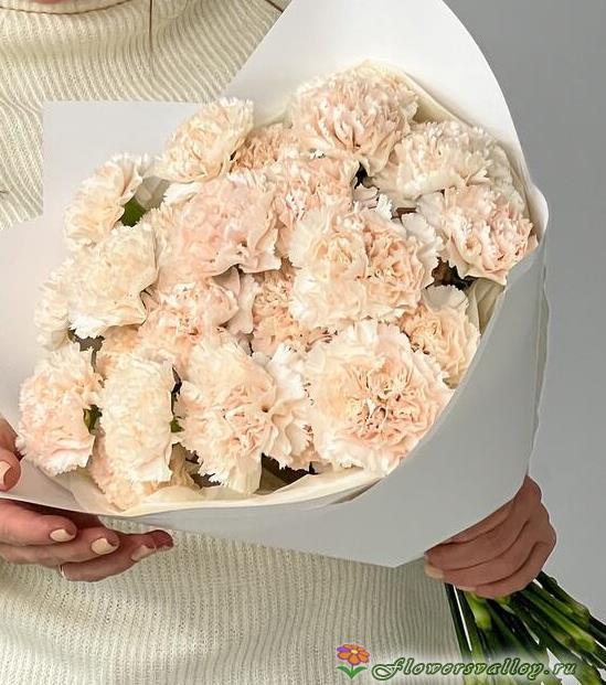 Букет из 35 бежевых гвоздик 