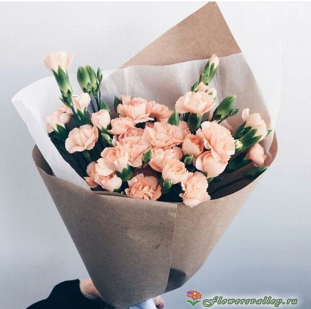 Букет из 11 кустовых гвоздик