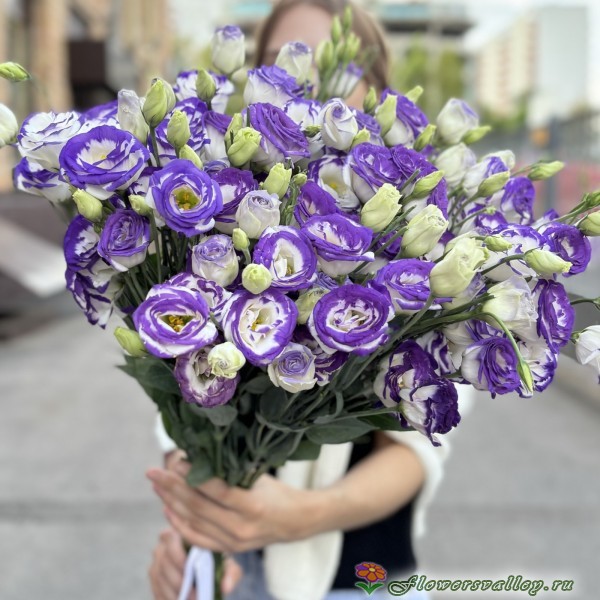 Букет из фиолетовых Эустом (Лизиантус)