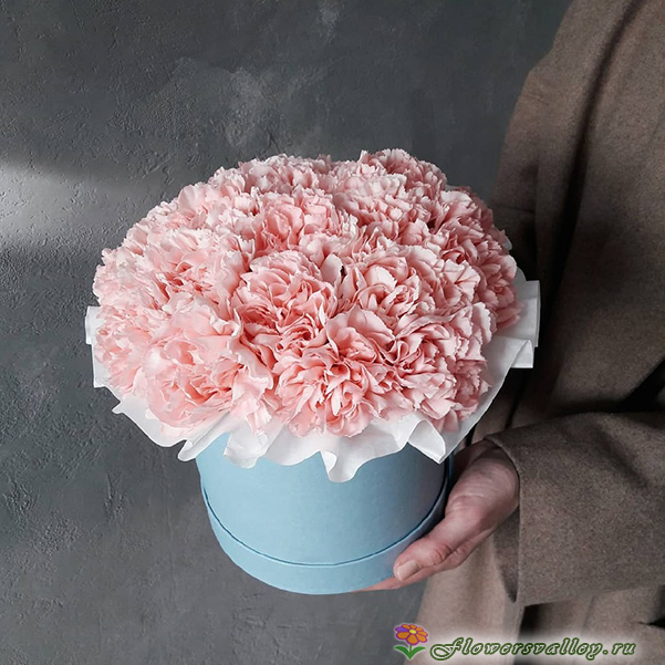 Шляпная коробка с розовой гвоздикой, 15 шт.