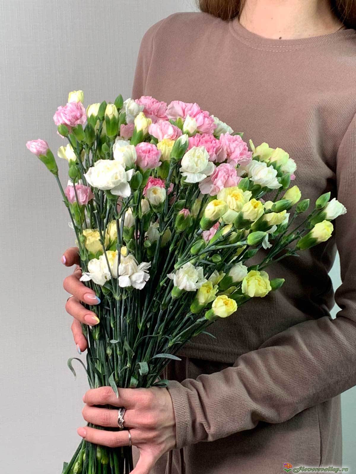 Букет разноцветных гвоздик, 15 шт