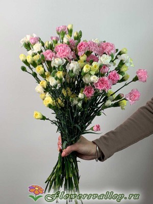 Букет разноцветных гвоздик, 15 шт