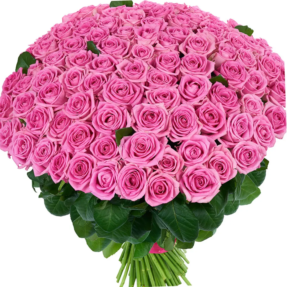 Букет из 101 розовой розы сорт "Ревивал". Фото 2
