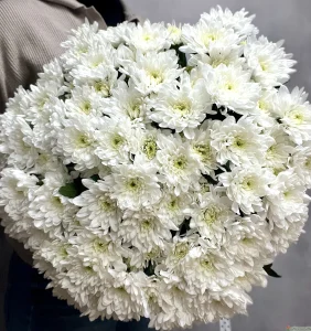 Букет белых хризантем, 15 шт (про-во Россия), 15 шт