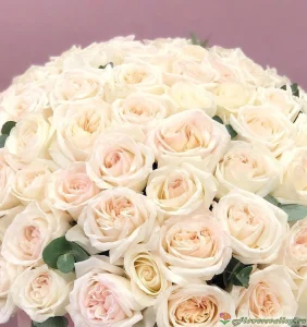 Букет из роз Вайт О'Хара( сорт White O'Hara, пр-во Эквадор), 101 шт, 50 см