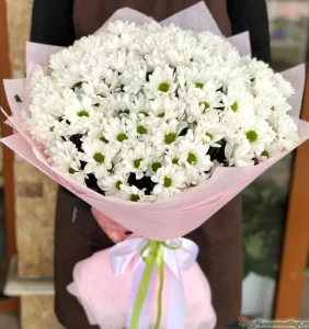 Букет из 25 белых хризантем. Сорт Бакарди, 25 шт