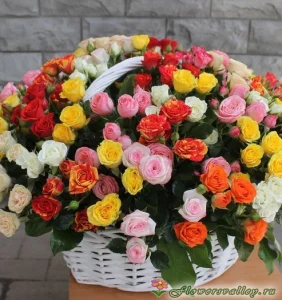 Корзинка с 51 кустовой розой, 51 шт