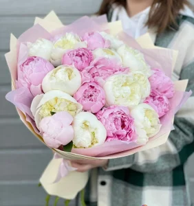 25 пионов, 25 шт
