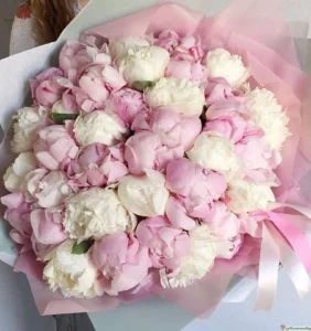35 пионов, 35 шт
