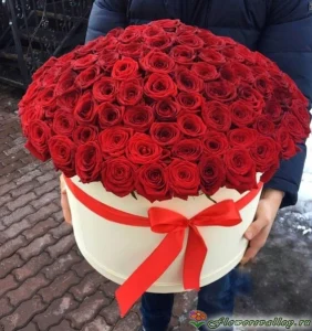 101 красная роза в коробке