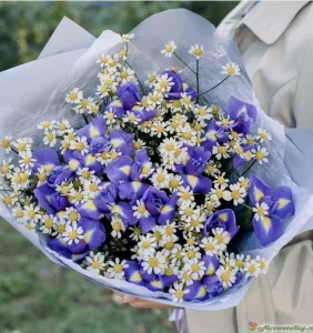 Букет из ирисов и матрикарии, 35 шт