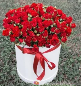 Красные кустовые розы в коробке, 25 шт