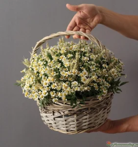 Корзина с матрикарией, 21 шт.