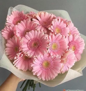 Букет из 15 розовых гербер, 15 шт