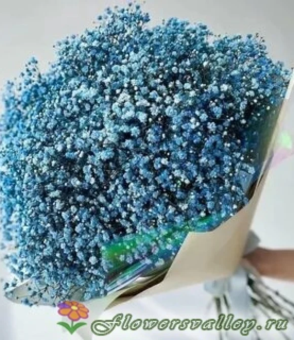 Букет из голубой гипсофилы, 15 шт.