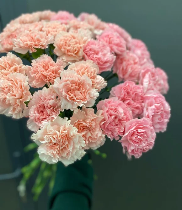 Букет из кремовой гвоздики