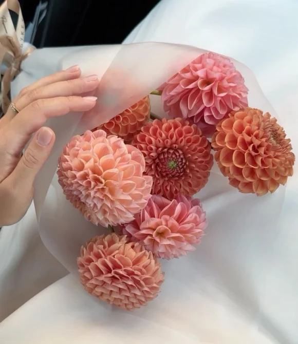 Букет из оранжевых георгин, 7 шт.