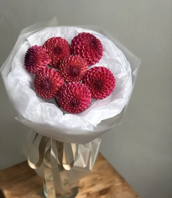 Букет из малиновых георгин, 7 шт.