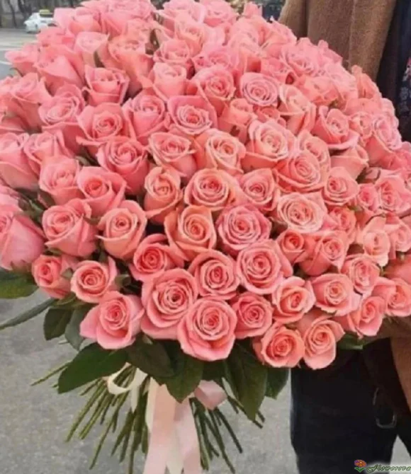 Букет из 101 розы Би Свит, (пр-во Эквадор, сорт "Be Sweet") фото 3
