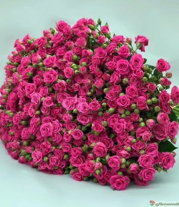  Букет из 101 малиновой кустовой розы Лавли Лидия (Lovely Lidia)