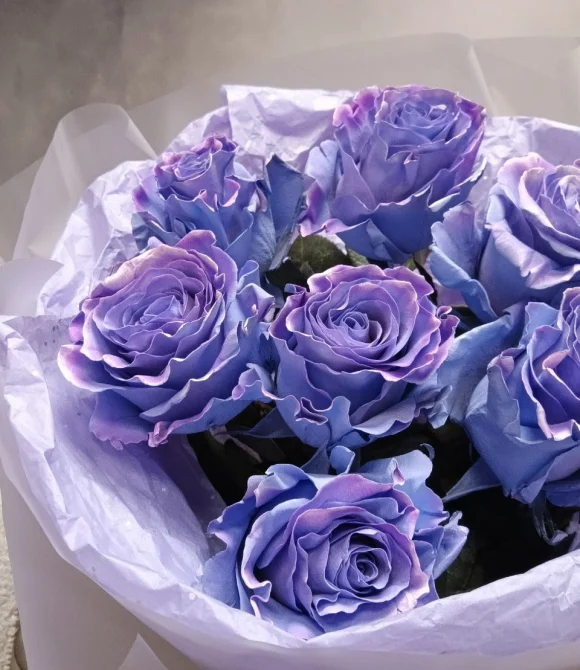 Букет роз пр-ва Эквадор Чарминг Стар, 7 шт (Charming star)