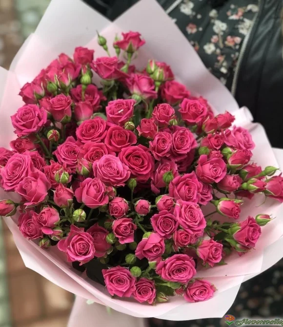 розова роза кустовая фото 2