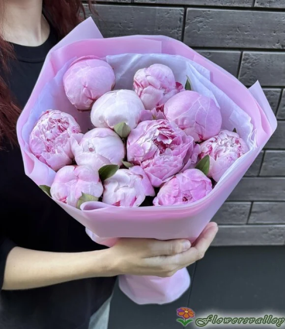 11 пионов