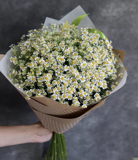 Букет 15 ромашек. (Вид Tanacetum или Matricaria). Фото 3.