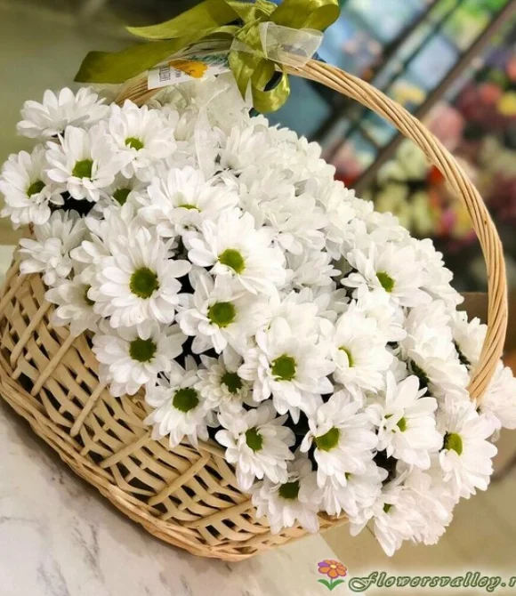 хризантема в корзине