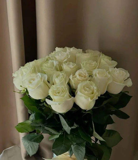 Букет из 25 белых роз (пр-во Эквадор, сорт "Мондиаль")
