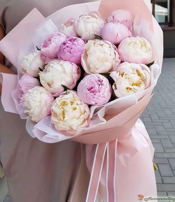 Пионы