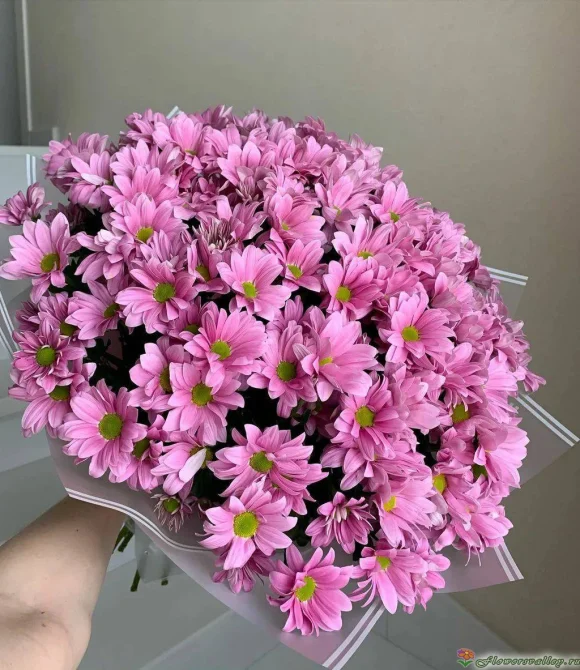Сладкий момент