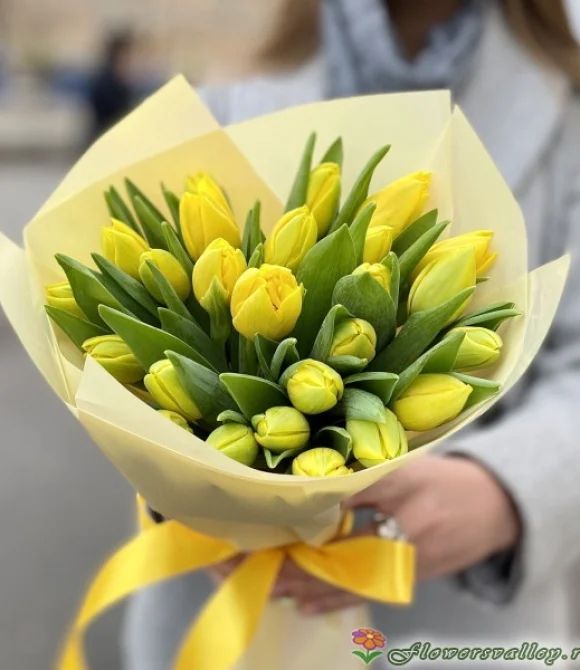 25 желтых тюльпанов