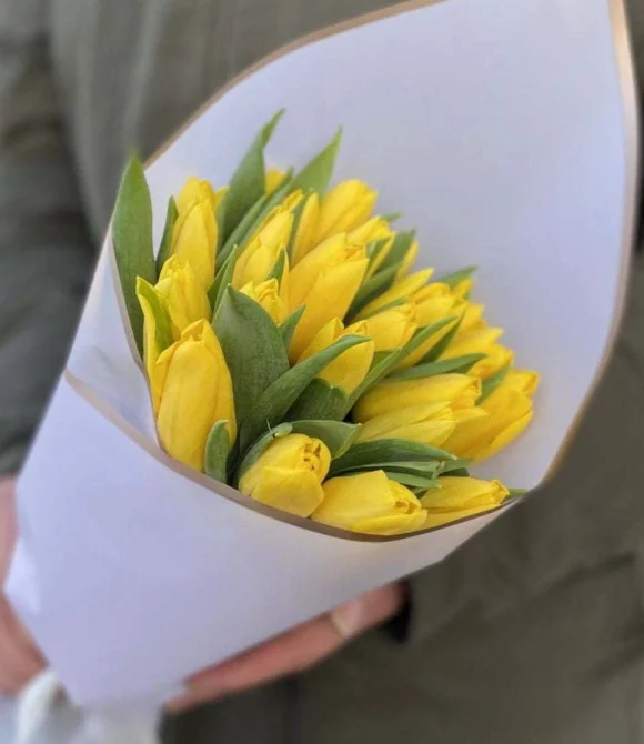 25 желтых тюльпанов