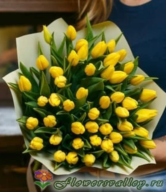 51 розовый тюльпан