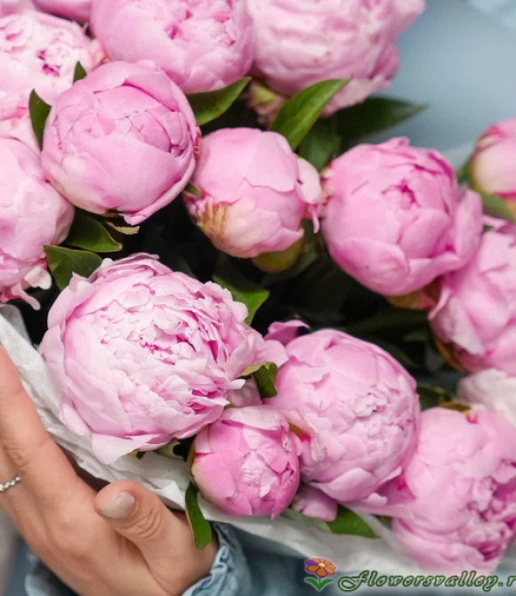 Розовые пионы с эвкалиптом 15 шт.